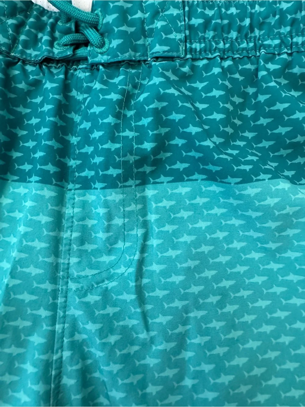 Abercrombie Kids Teal Swim Trunks